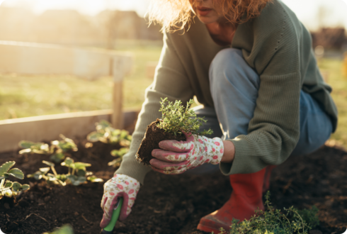 Eine Frau hockt in einem Beet und hält eine kleine Pflanze und eine Schaufel. 