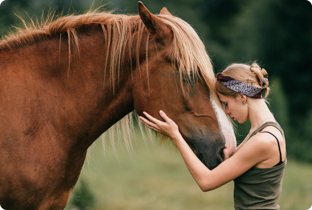 Eine Frau legt ihr Gesicht auf den Kopf eines Pferdes. Mit der linken Hand streichelt es das Pferd.